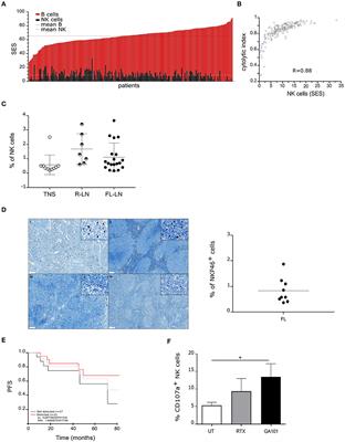 A Tridimensional Model for NK Cell-Mediated ADCC of Follicular Lymphoma